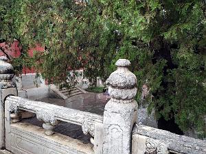 PEKIN-TEMPLE DE CONFUCIUS ACADEMIE IMPERIALE (17)